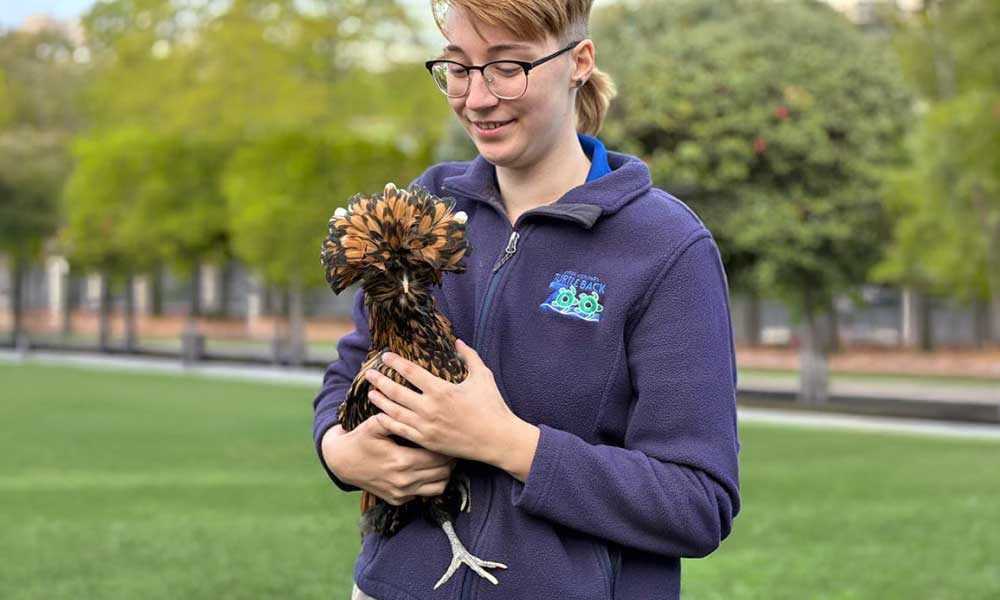 Digital Online Marketing Co. Donates to the Essex County Zoo in West Orange, NJ