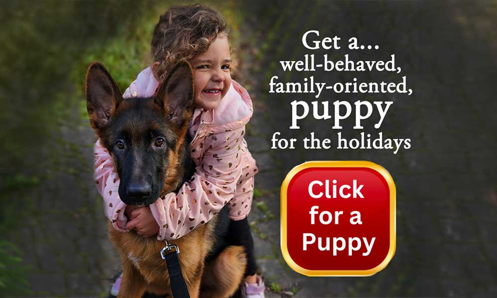 Maximizing Business Reach in Essex County, NJ: The Power of Google AdWords