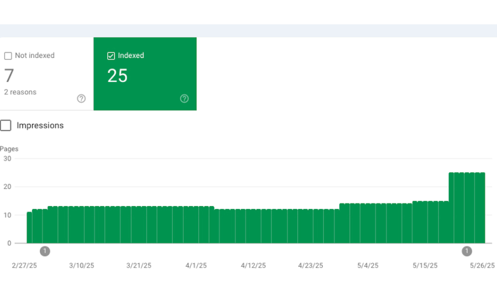 Why Your SEO Keeps Failing: The Hidden Problem of Page Indexing & How to fix it